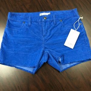 Carve Designs Oahu 4” corduroy shorts